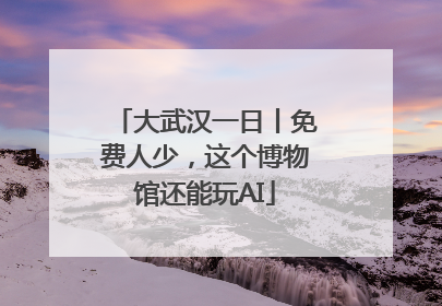 大武汉一日丨免费人少，这个博物馆还能玩AI